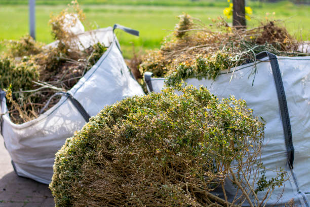 Best Professional Junk Removal  in Mayer, MN
